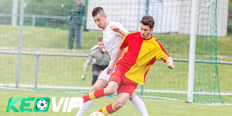 Khởi động với kèo bóng đá tài xỉu 3.5